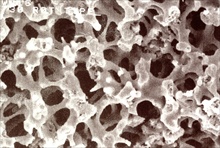 Sample adsorption with MonoTrap